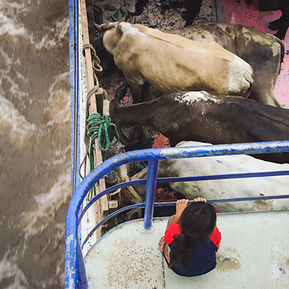 PERU AMAZON RIVER | PERU
