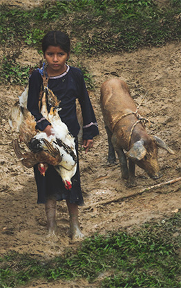 PERU AMAZON RIVER | PERU