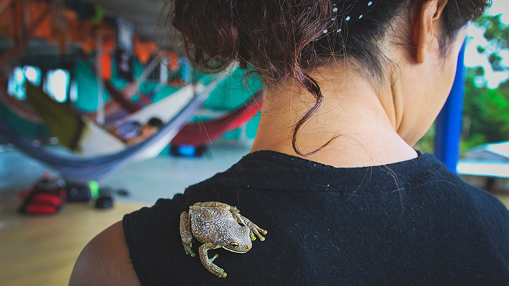 PERU AMAZON RIVER | PERU