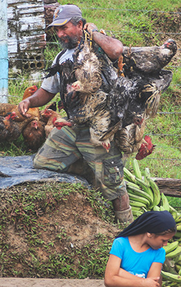 PERU AMAZON RIVER | PERU