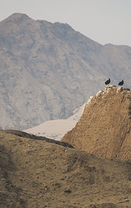 PERU CHAN CHAN | PERU