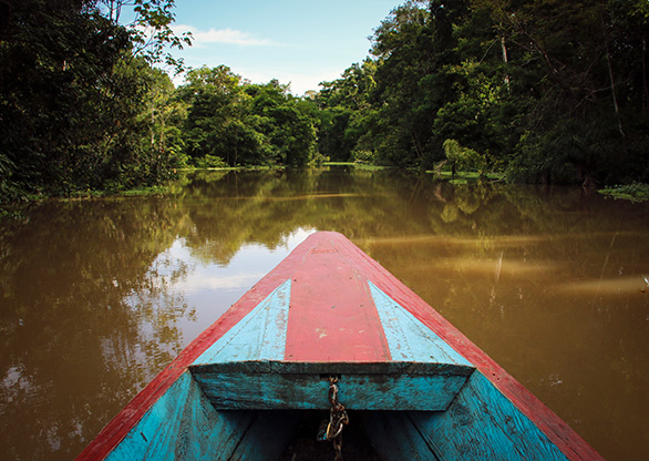 PERU AMAZON JUNGLE | PERU