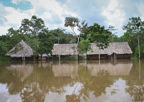 My lodge, which actually sits on top of a hill with a staircase leading down to the dock. But now the dock is twenty feet under water. AMAZON JUNGLE | PERU
