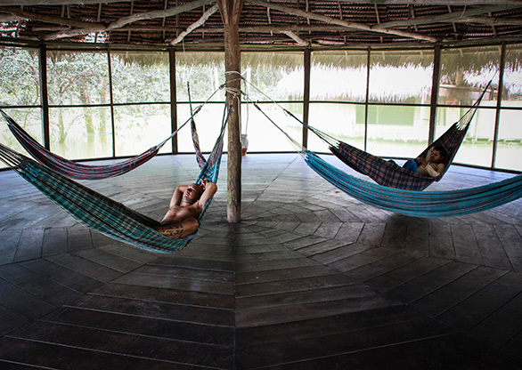 PERU AMAZON JUNGLE | PERU