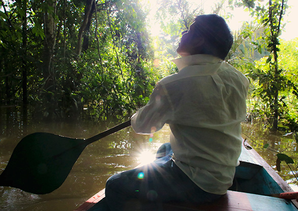 PERU AMAZON JUNGLE | PERU