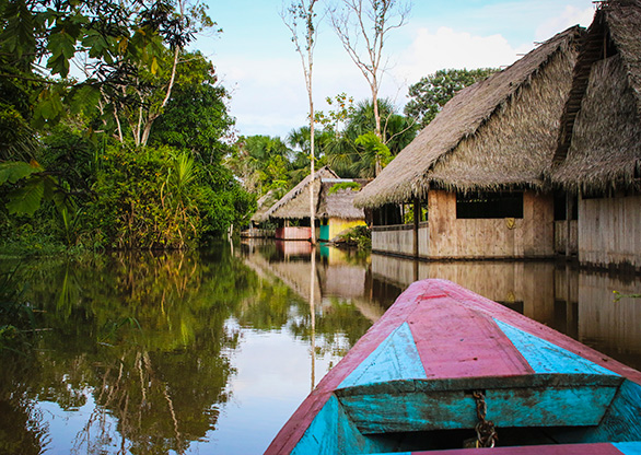 PERU AMAZON JUNGLE | PERU