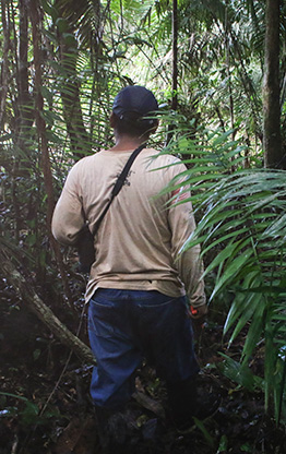 PERU AMAZON JUNGLE | PERU