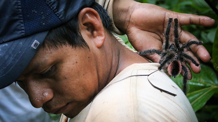 PERU AMAZON JUNGLE | PERU
