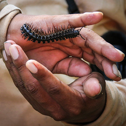 PERU AMAZON JUNGLE | PERU