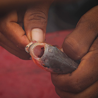 PIRANHA FISHING AMAZON JUNGLE | PERU