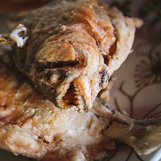 PIRANHA FISHING AMAZON JUNGLE | PERU