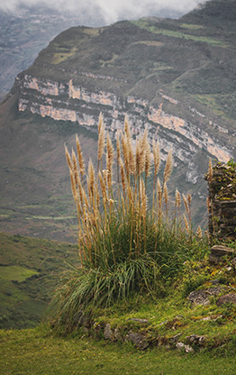 PERU KUELAP | PERU