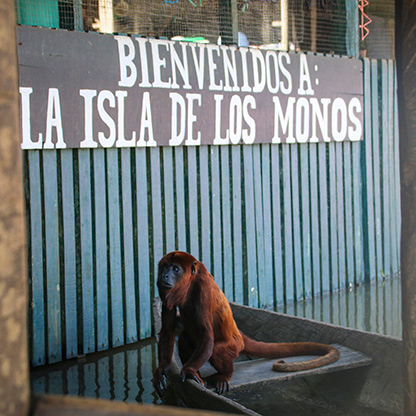 PERU MONKEY ISLAND | PERU