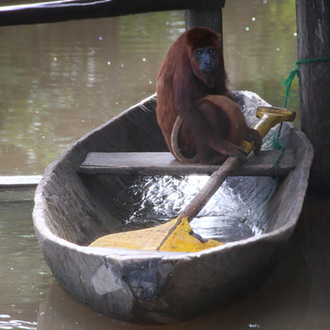PERU MONKEY ISLAND | PERU