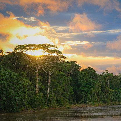 PERU RIO NAPO | PERU