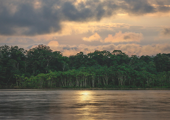PERU RIO NAPO | PERU