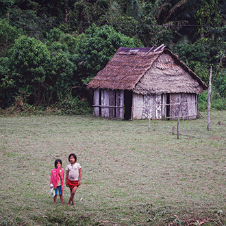 PERU RIO NAPO | PERU