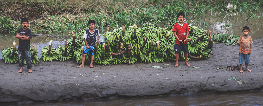PERU RIO NAPO | PERU