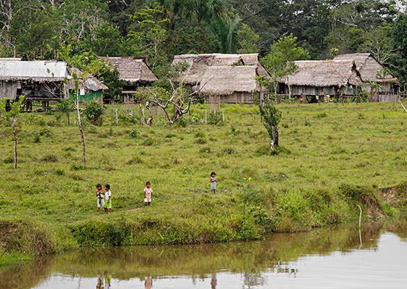 PERU RIO NAPO | PERU