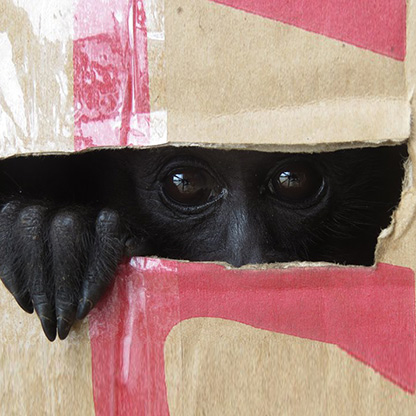 PERU RIO NAPO | PERU