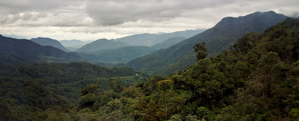 PERU TARAPOTO | PERU
