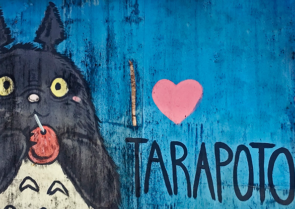 PERU TARAPOTO | PERU