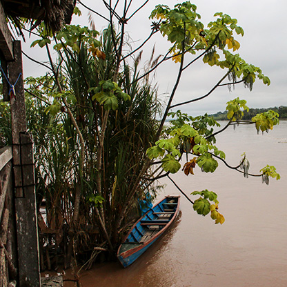 PERU YURIMAGUAS | PERU