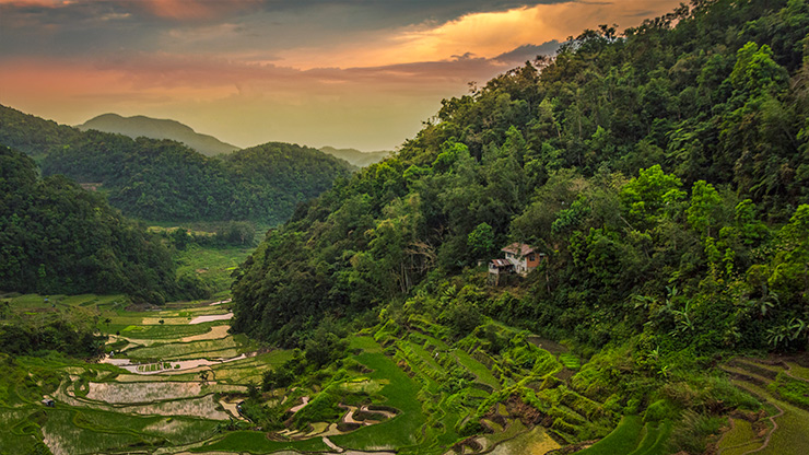 BANAUE | PHILIPPINES