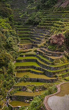 BANAUE | PHILIPPINES