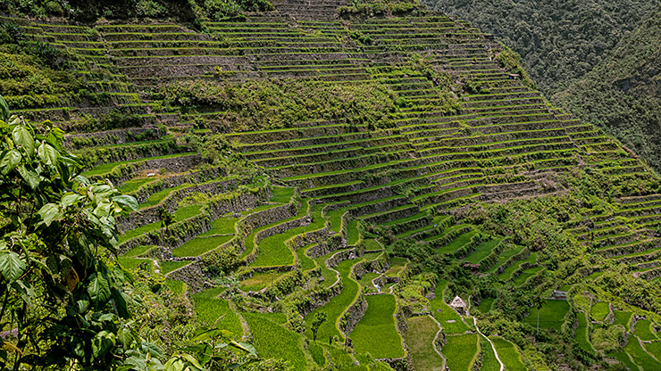 BANAUE | PHILIPPINES