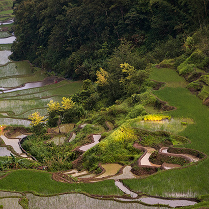 BANAUE | PHILIPPINES