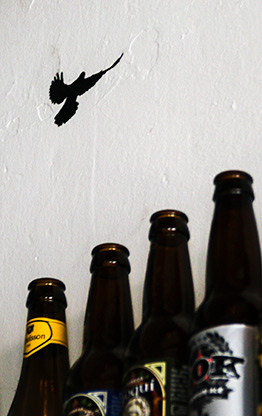 ARECIBO | PUERTO RICO