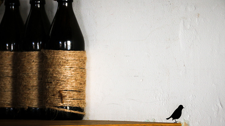 ARECIBO | PUERTO RICO