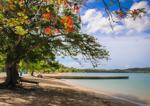 BOQUERON | PUERTO RICO