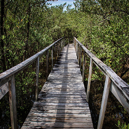 BOQUERON | PUERTO RICO