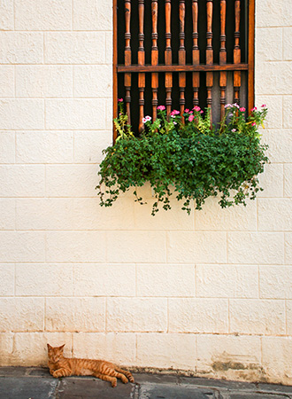 SAN JUAN | PUERTO RICO