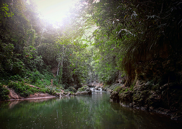 ARECIBO | PUERTO RICO