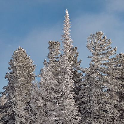 LAKE BAIKAL | RUSSIA