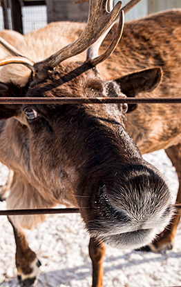 EKATERINBURG | RUSSIA
