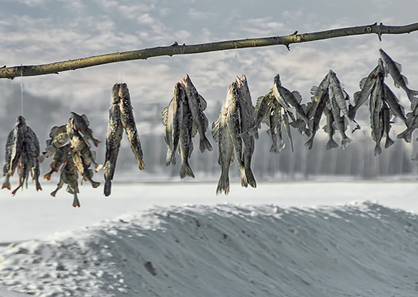 NOVOSIBIRSK | RUSSIA