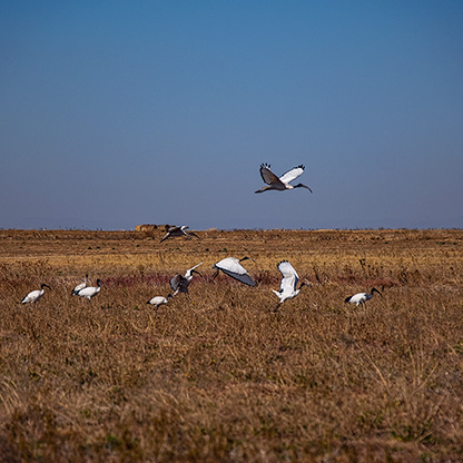 HARRISMITH | SOUTH AFRICA