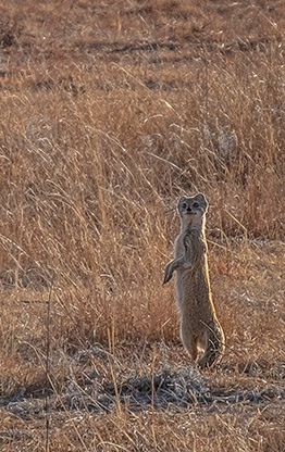 HARRISMITH | SOUTH AFRICA
