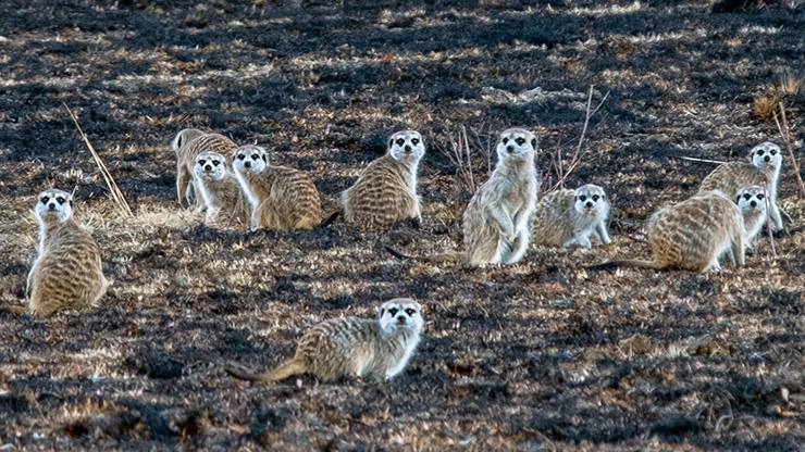 HARRISMITH | SOUTH AFRICA