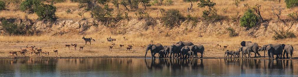 KRUGER NATIONAL PARK | SOUTH AFRICA