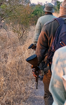 KRUGER NATIONAL PARK | SOUTH AFRICA