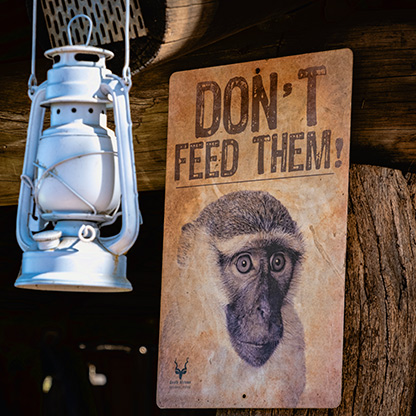 KRUGER NATIONAL PARK | SOUTH AFRICA