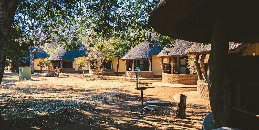 KRUGER NATIONAL PARK | SOUTH AFRICA