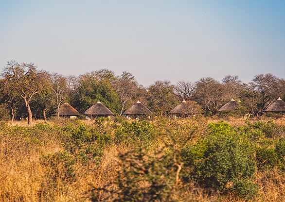 KRUGER NATIONAL PARK | SOUTH AFRICA