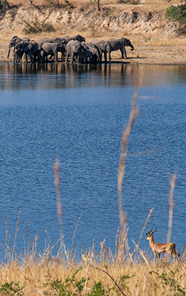 KRUGER NATIONAL PARK | SOUTH AFRICA
