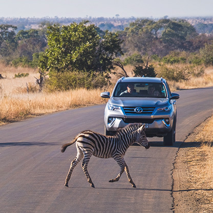 KRUGER NATIONAL PARK | SOUTH AFRICA